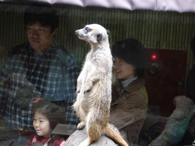上野動物園の動物－？？ 