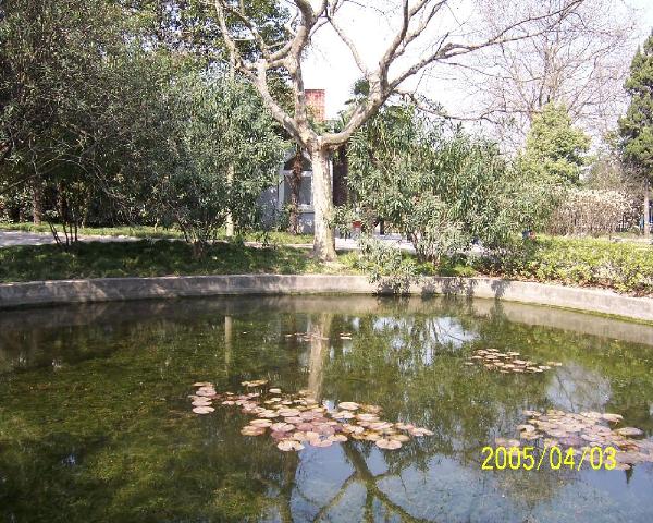 2005*04的张江地铁花园